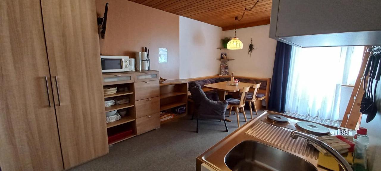 齐勒河谷的里德Studio Hochzillertal Mit Sauna & E-Ladestation公寓 外观 照片
